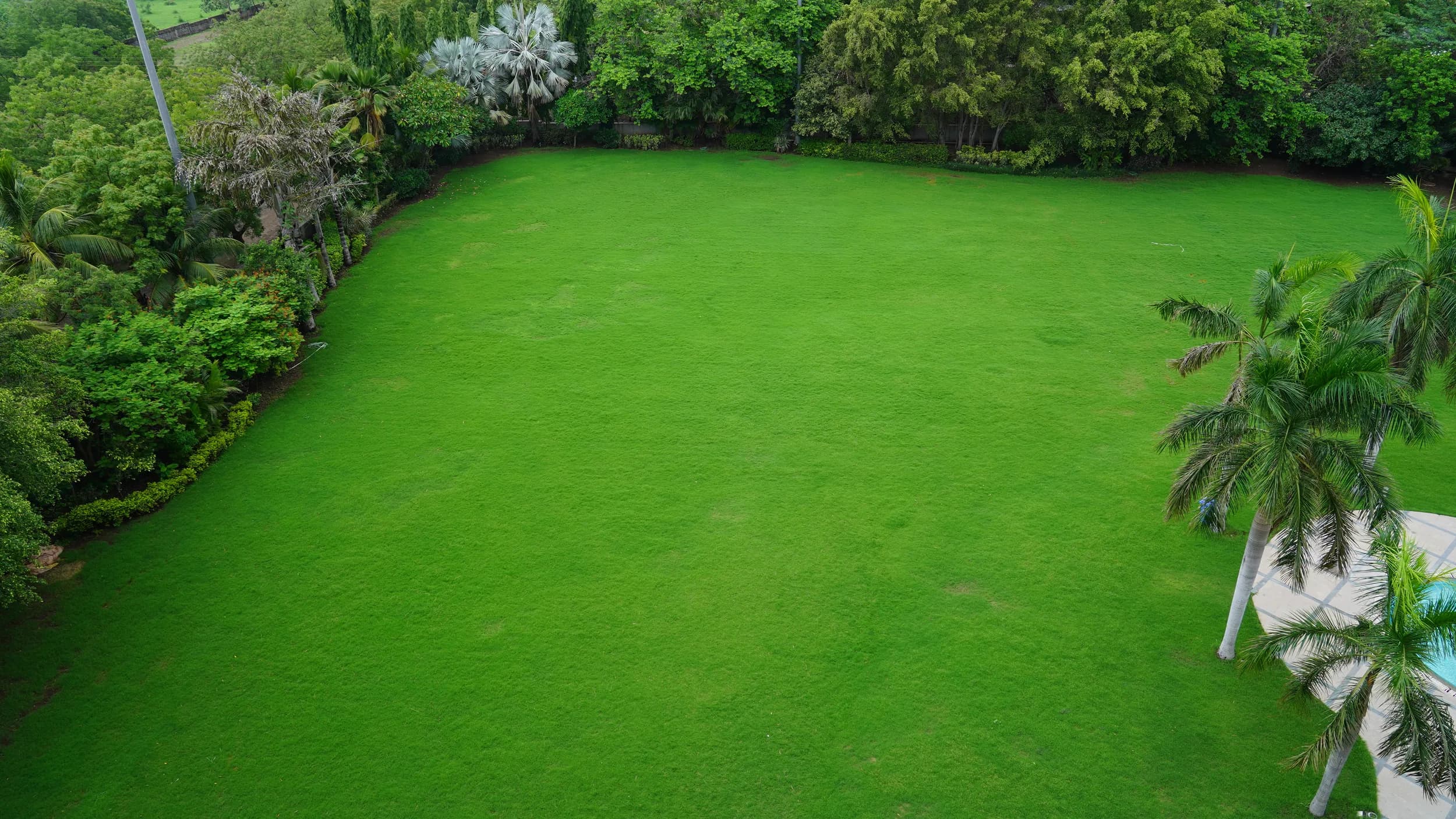 Lawn 2 - Springs Lawn/ Palm View Lawn